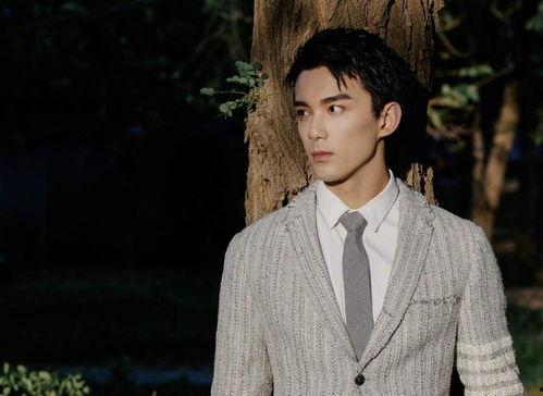 吴磊的最新消息爆料,揭秘当红小生的幕后故事与未来计划  第2张